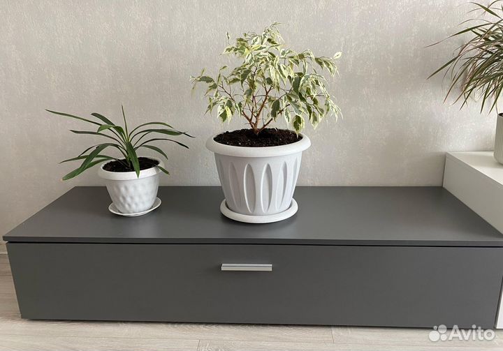 Стенка в гостиную, lazurit