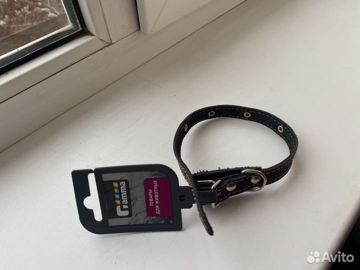 Ошейник кожа для мелких собак кошек