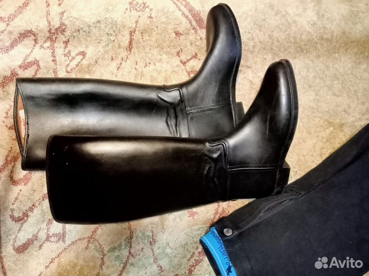 Бриджи для верховой езды 50р. и сапоги 41