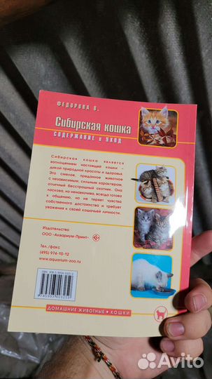 Сибирская кошка Федорова