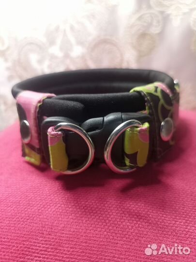 Ошейник для собак