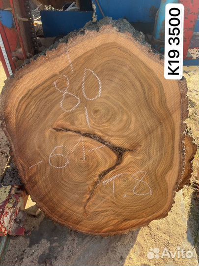 Слэб карагач