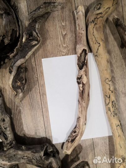 Коряги, ветки, стволы с Чёрного моря (дрифтвуд)