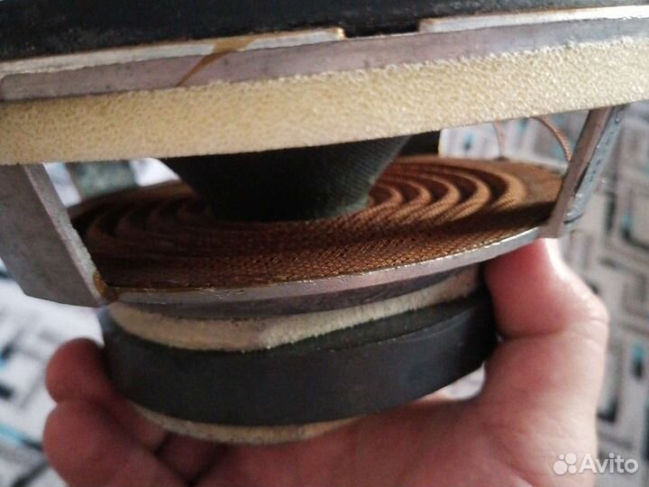 Динамик 10гд-30б (35гдн-1-8)