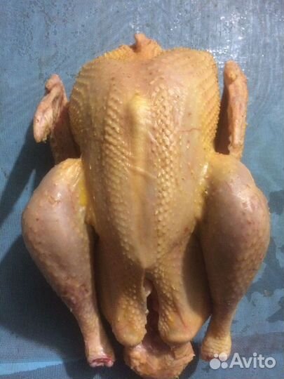 Мясо индюшки