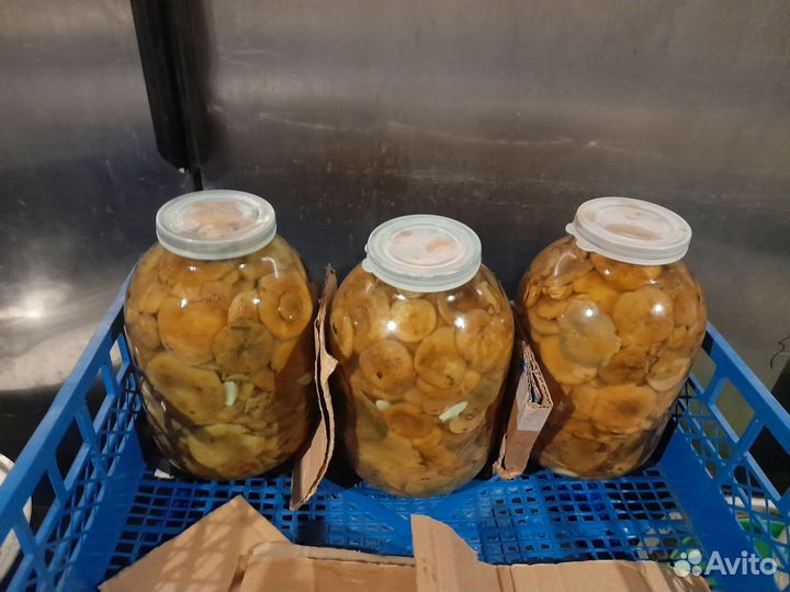 Рыжики соленые