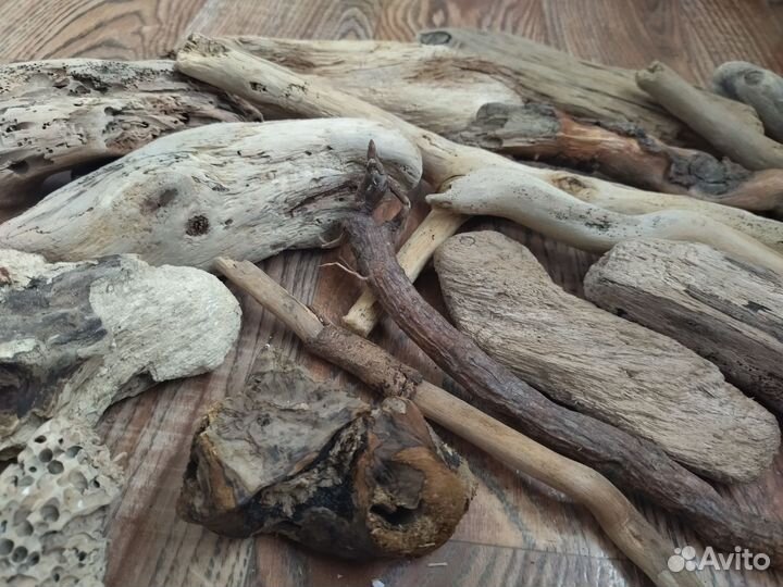 Коряга дрифтвуд