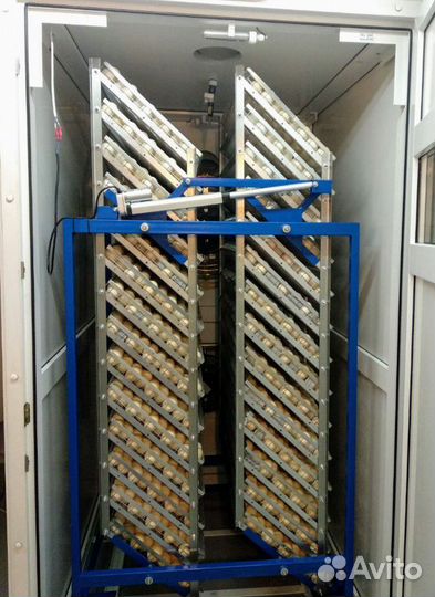 Цыплята-бройлер, индюшата, утята