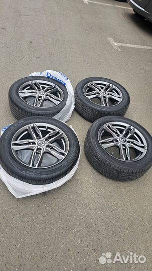 Nexen Classe Premiere