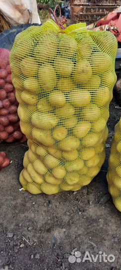 Продам картофель с доставкой