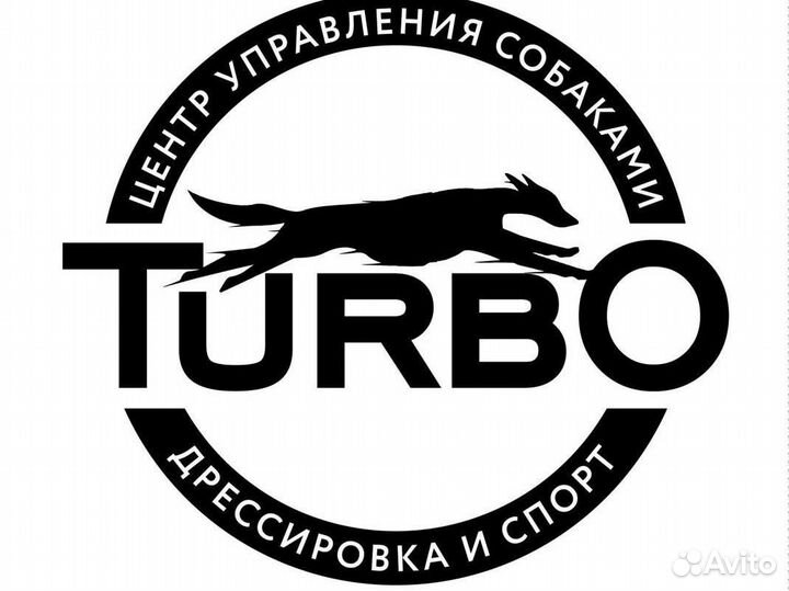 Услуги кинолога