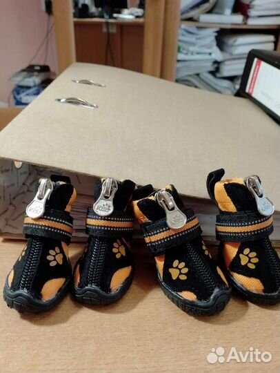 Сапожки для маленькой собаки