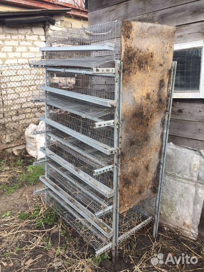 Клетки для перепелов