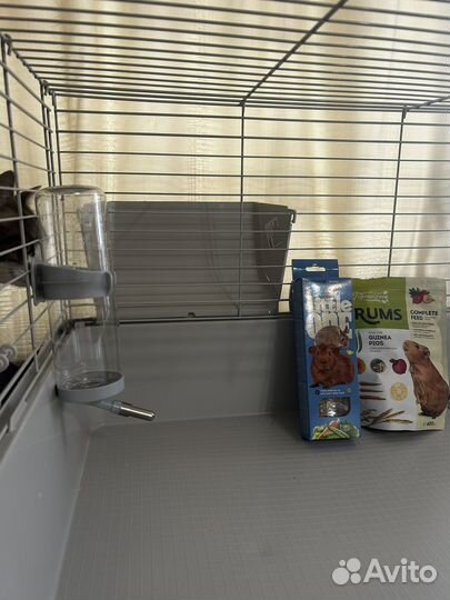 Клетка для грызунов большая