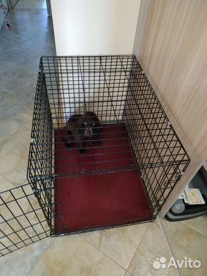 Вольер (клетка для собаки)