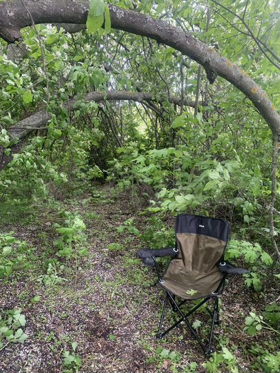 Участок 20 сот. (СНТ, ДНП)