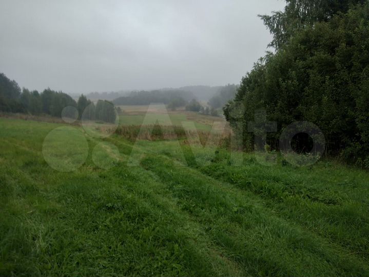 Участок 100 сот. (СНТ, ДНП)