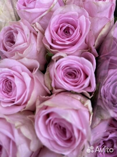 Цветы розы и букеты с доставкой