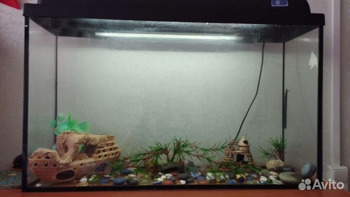 Аквариума