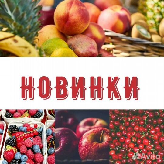 Саженцы районированные