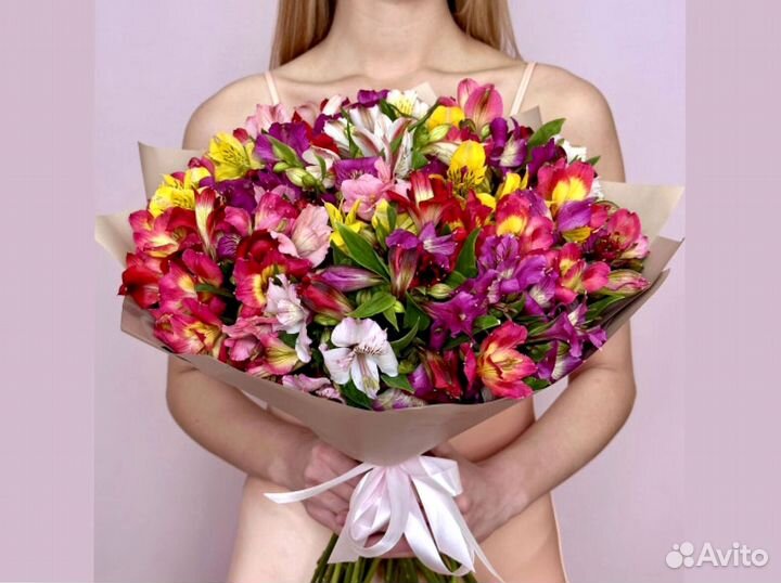 Альстромерии с доставкой по Краснодару