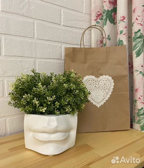 Гипсовое кашпо «Губы Давида» большие