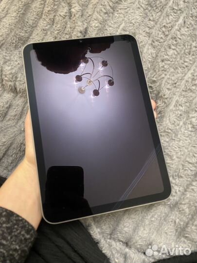 iPad mini 6