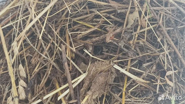 Навоз козий подстилка из под коз мульча