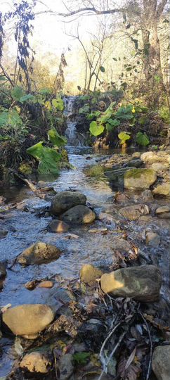 Участок 1,83 га (СНТ, ДНП)