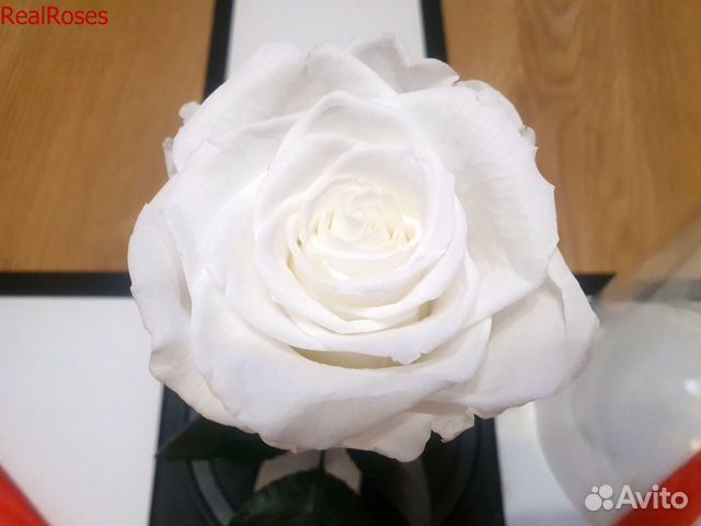 Роза в колбе