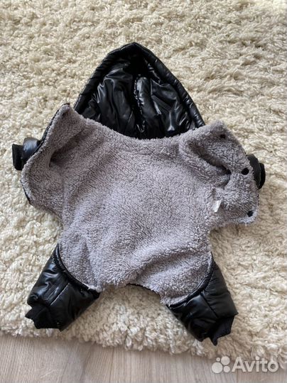 Одежда для собак мелких пород