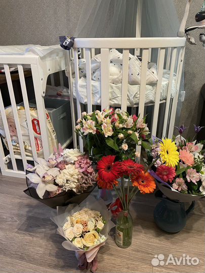 Кроватка-трансформер Ellipsebed из бука