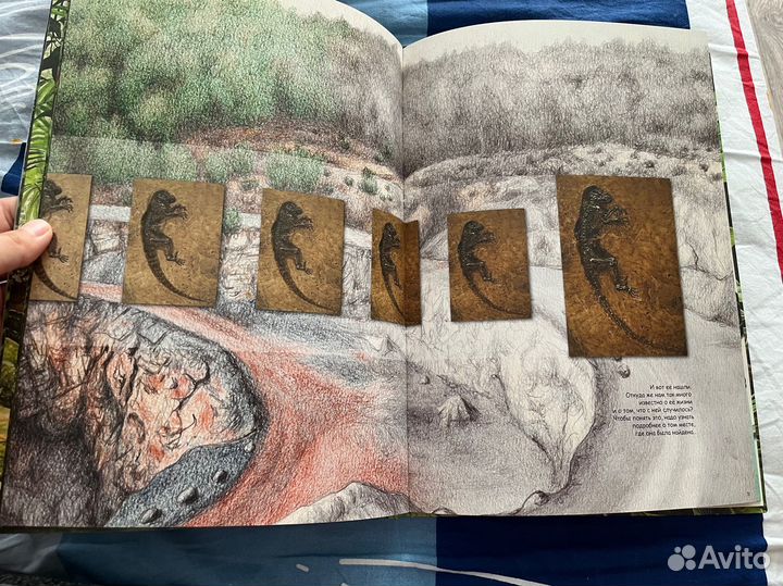 Ида, Пешком в историю, Йорн Хюрум