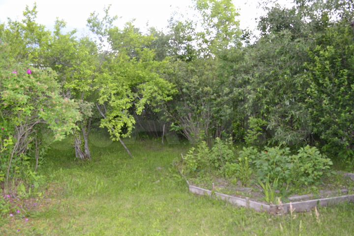 Участок 9,5 сот. (СНТ, ДНП)