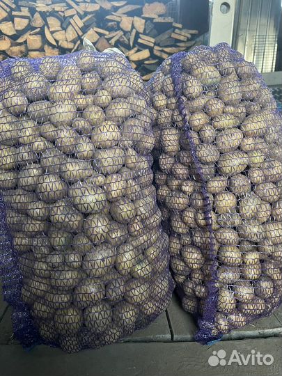 Продам мелкий картофель