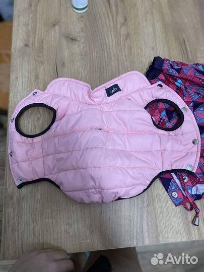 Куртка и комбинезон для собаки размер s / 3-4,5 кг