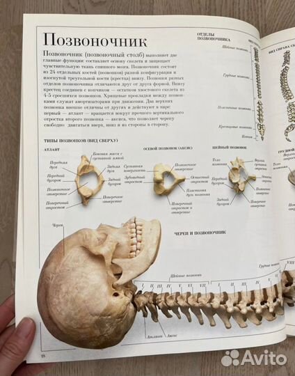 Книги новые.Дорлинг Киндерсли