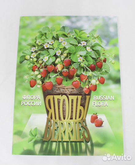Буклет с марками Флора России, Ягоды 2020 год, 2 б