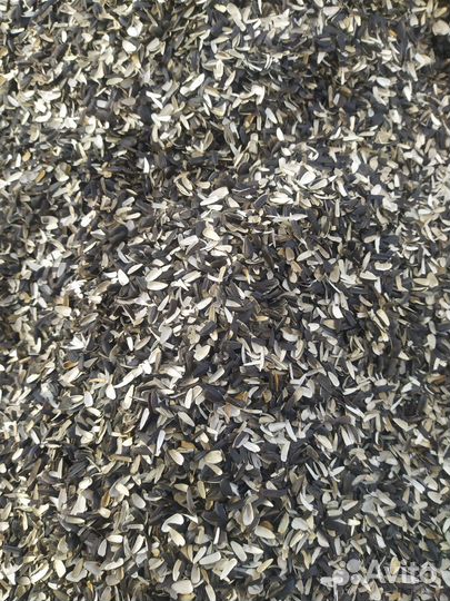 Лузга подсолнечника