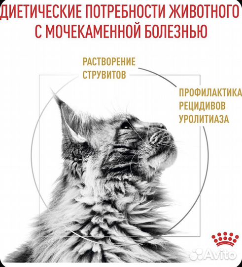 Сухой корм для кошек Royal Canin 3,5 кг