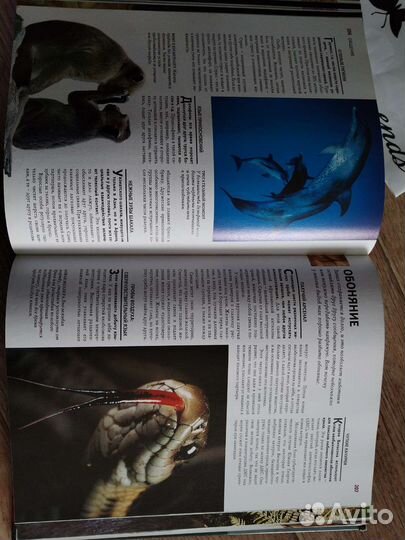 Книга позновательная