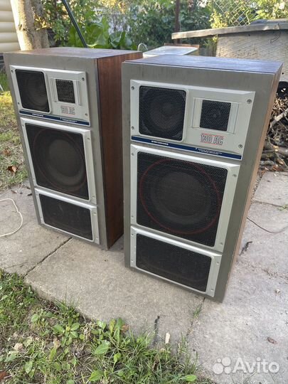Акустические колонки Электроника 130ас