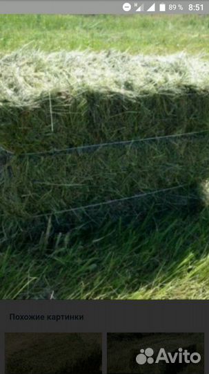 Сено в рулонах