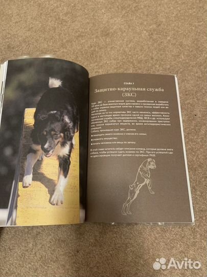 Книга для дрессировки собак