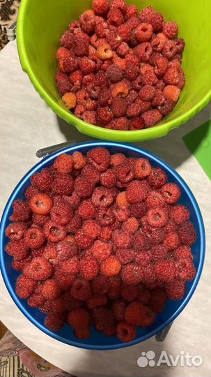 Продам малину