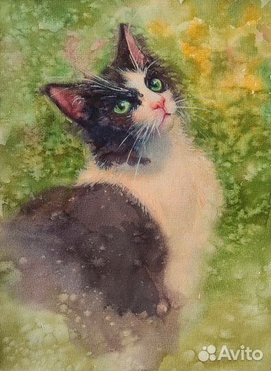 Портреты питомцев на заказ