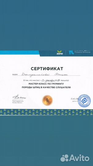 Груминг шпица