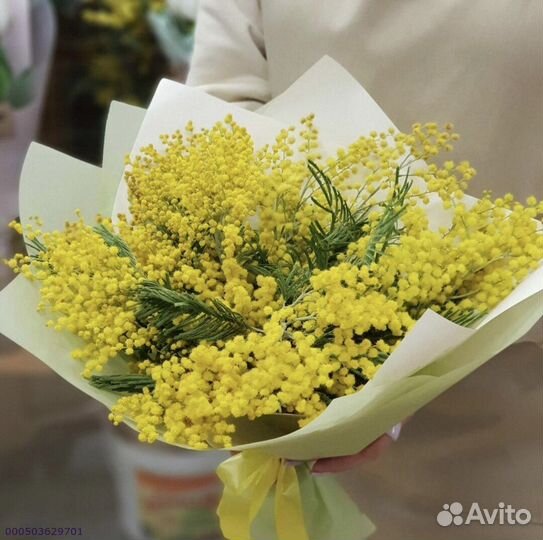 Букеты из мимозы (Арт.52525)