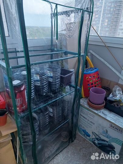 Домашняя мини теплица