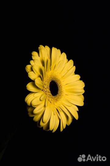 Зеркальный фотоаппарат canon eos 200d